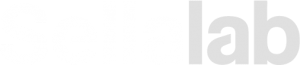 blendX Sellalab Staging